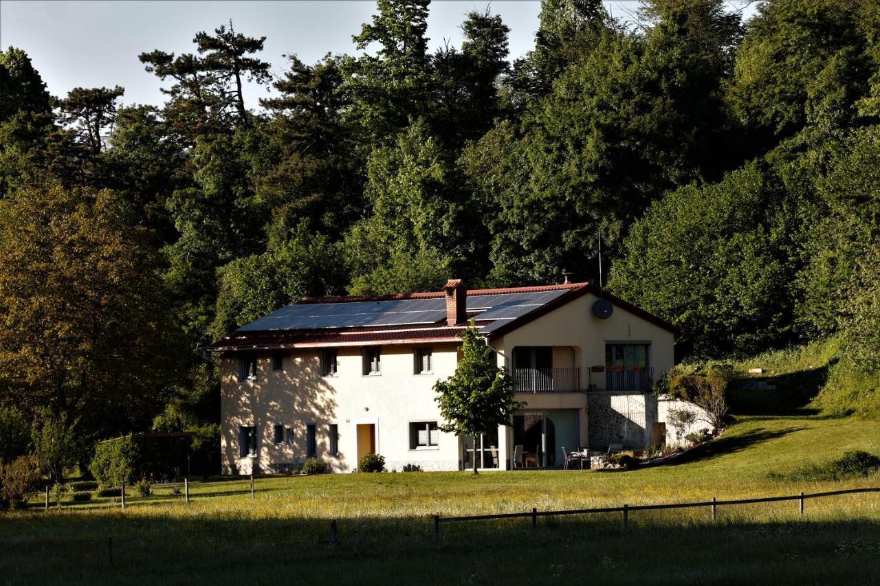 Guesthouse Idila Pod Nanosom Senozece Zewnętrze zdjęcie