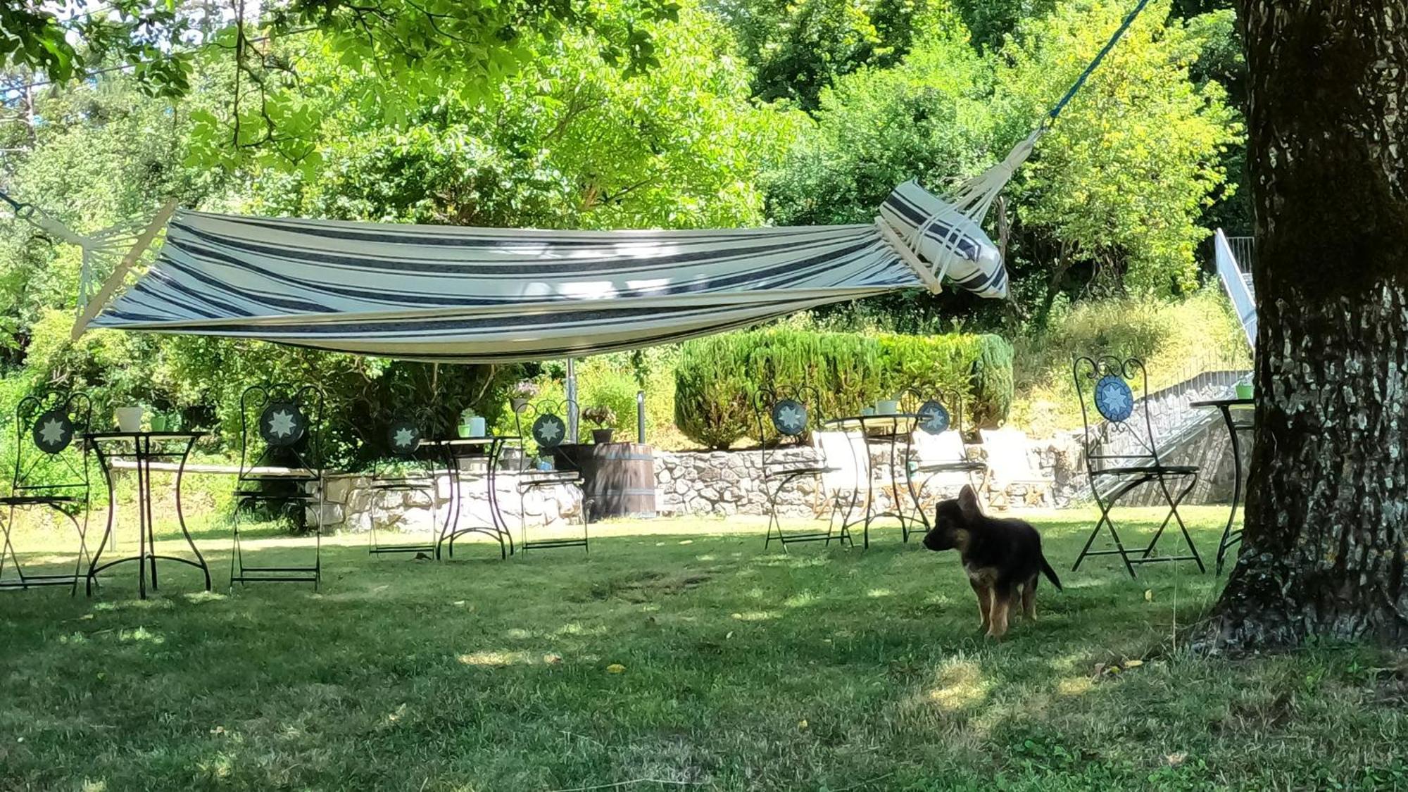 Guesthouse Idila Pod Nanosom Senozece Zewnętrze zdjęcie