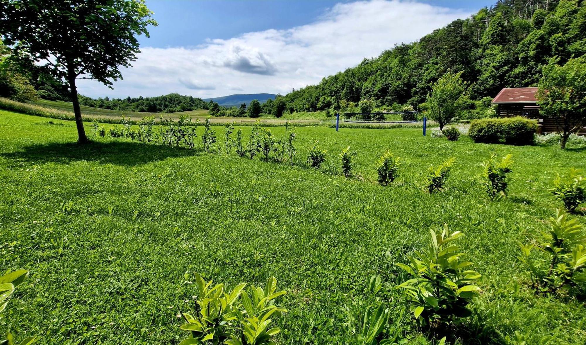 Guesthouse Idila Pod Nanosom Senozece Zewnętrze zdjęcie